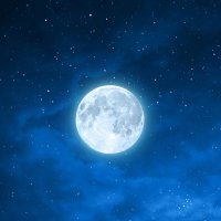 lildevillishbrat ☮️ (@lildevillishbr2) 's Twitter Profile