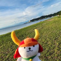 ちゃちゃずけ (@chacha_02a) 's Twitter Profile