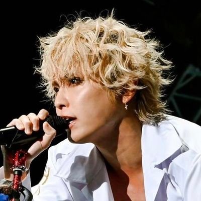 HaruTei 🐙さんのプロフィール画像