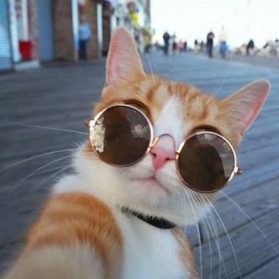 SONDAKIKA_25's profile picture. takip et geri takip edeyim gerisini boş ver sonra konuşuruz