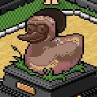 See-a-Roo (@vestabelt) 's Twitter Profile