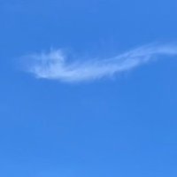 理性と欲望の狭間で (@brooklyn35380) Twitter profile photo