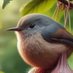PajaroGuebon 🐦🇮🇨 (@the_pooxer) Twitter profile photo PajaroGuebon 🐦🇮🇨 (@the_pooxer) Twitter profile photo