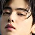 Cha Eun woo (@chaeunwoo2245p) Twitter profile photo Cha Eun woo (@chaeunwoo2245p) Twitter profile photo