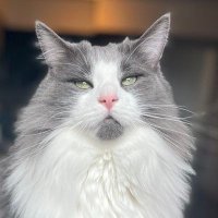 WeThePeople! (@eagleoner77) 's Twitter Profile Photo WeThePeople! (@eagleoner77) 's Twitter Profile Photo