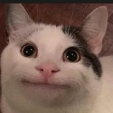 TotallyRel's profile picture. 