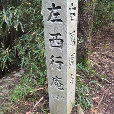 照ヶ闇月 てがやみるなさんのプロフィール画像