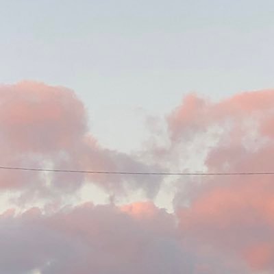 takosan_ck_yama's profile picture. 