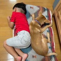 maruo (@maruo3300xyz) 's Twitter Profile Photo maruo (@maruo3300xyz) 's Twitter Profile Photo
