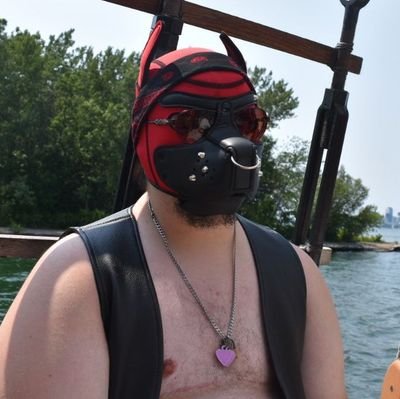 dumb horny mutt 🐶🐾 || 24 • lg(b)(t) • he/him • polaris pup pack • collared by @pupdax1 • 18+