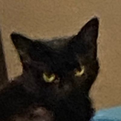 pious_scott's profile picture. 🥰 someone biggest fan 🥰