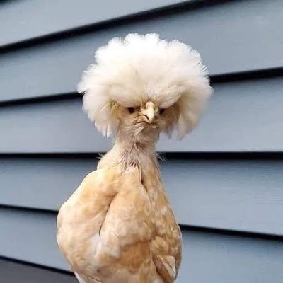 Billy72477768's profile picture. 