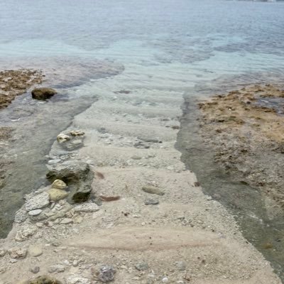 zYR9x2fLb920338's profile picture. けいごくん、れいくん寄りの城推し 龍宮城関連勝手にいいねします🙇‍♀️