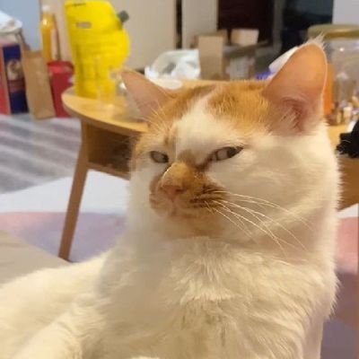 deearydaily's profile picture. tempat berkeluh kesah