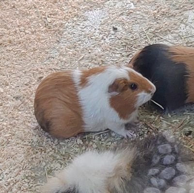 じんさんのプロフィール画像