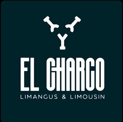 Genetica Limangus y Limousin/tecnico y productor agropecuario.