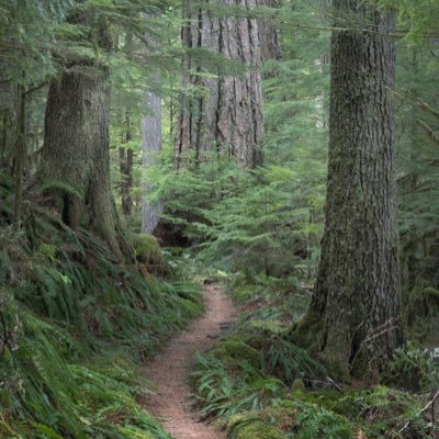 🏃 Trail Runner | Football Enthusiast | 2nd acc