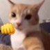 fkiiihm (@_helbizei) Twitter profile photo fkiiihm (@_helbizei) Twitter profile photo