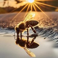 Grace Mercy (@gracey_arah) 's Twitter Profile Photo