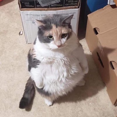 Jonathany713's profile picture. 