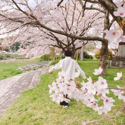 web制作やってます!ほかにもいろいろやっていく予定です!気になった方はリンクへお願いします!│ テックアイエス2022.3〜 2022.9