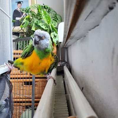 Uncle Eric 🇺🇦 Profile