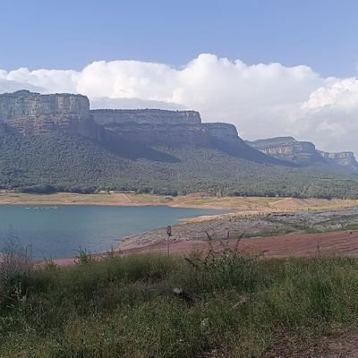 dpastorbcn3's profile picture. 