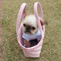 おにぎり (@onigiri_riize) 's Twitter Profile