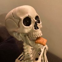 BigWheat (@bigwheat236) 's Twitter Profile