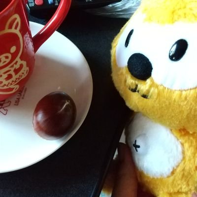 tanatana1920's profile picture. いろんな写真あげたり、なにかつぶやいたりもするので見てくれたりリプライくれたりすると喜びます✨ポイ活もしてます😄