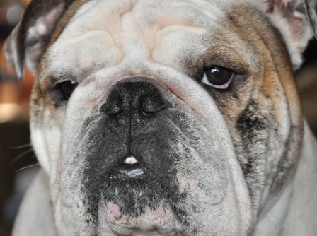 UCCat1's profile picture. Econ / Insurance