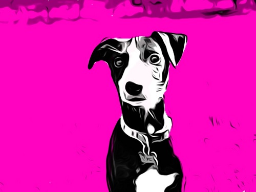 I like running on motorways, my duvet and shaking toys.
