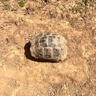 fbayraktarr28's profile picture. 