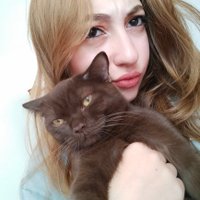 elifimsi (@uykulubirpanda) 's Twitter Profile