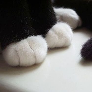 .....さんのプロフィール画像