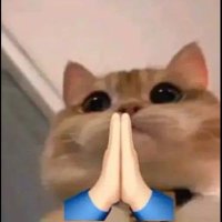 Lily (@1nquixote) 's Twitter Profile