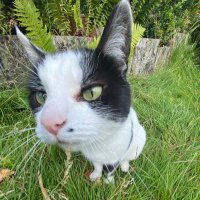 toby💥 (@c0sm1c_her0) 's Twitter Profile Photo