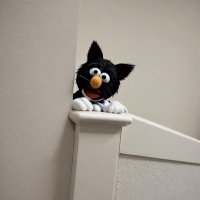 Bertram Wilberforce Wooster (@wooster_bert_) 's Twitter Profile Photo Bertram Wilberforce Wooster (@wooster_bert_) 's Twitter Profile Photo