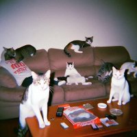 Zikril Hakim (@zikrilhakim7075) 's Twitter Profile