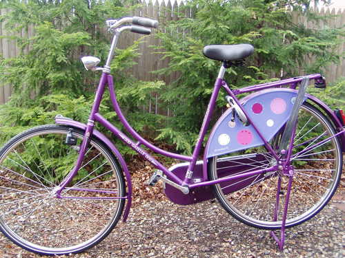 Passionate about the environment,  intelligent people, President Obama and our *Dutch icon*, the superior Gazelle bike...