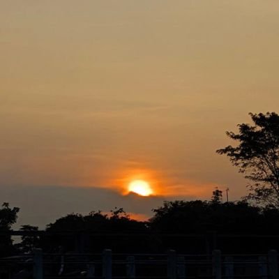 cassava_3's profile picture. 