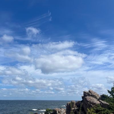 esoxlucius7's profile picture. 