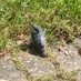 Nuthatch (@hamptoneil777) Twitter profile photo Nuthatch (@hamptoneil777) Twitter profile photo