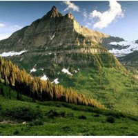 Temaşager 🌷 (@temasagerr) Twitter profile photo