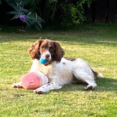 skiddy1962's profile picture. 