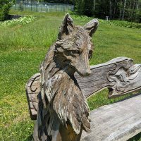 Cozy (@coji1982) 's Twitter Profile Photo