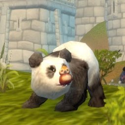 When I go to Dalaran and am dancing near Windle Sparkshine which is her fatherhood, someone whispers to me,