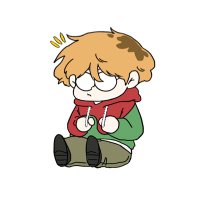 Vam | VAWS (@villon0_) Twitter profile photo