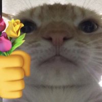 nikkō (@piscesbyby) 's Twitter Profile