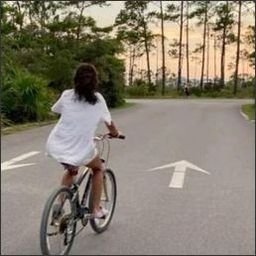 MotirslIBvosB9's profile picture. 